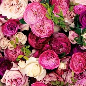 Meet your Posher, Margaret